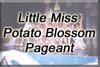 Little Miss Potato Blossom Pageant