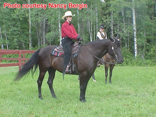 Nancy Bergin on Onyx at the Pine & Spurs horse show