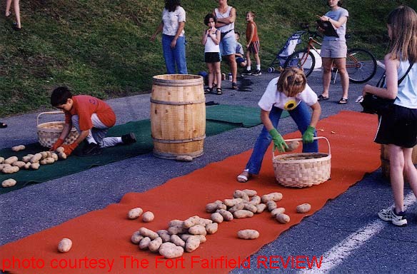 Potato Picking contest