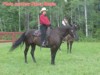 Nancy Bergin on Onyx at the Pine & Spurs horse show